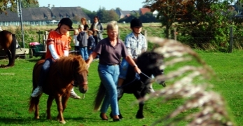 Ponyreiten mit Gästen auf dem Grethof